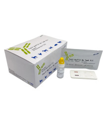 Експрес-тест дирофіляріозу собак Ag Test CHW Ag Корія