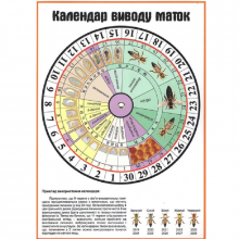 Календарь вывода маток с вращаюмся кругом АВВ-100