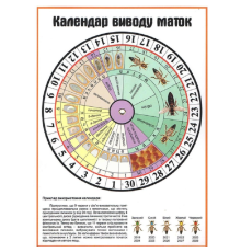 Календар виведення маток з обертовим колом АВВ-100