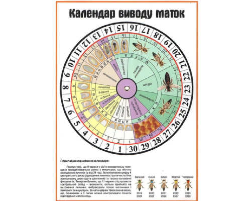 Календар виведення маток з обертовим колом АВВ-100