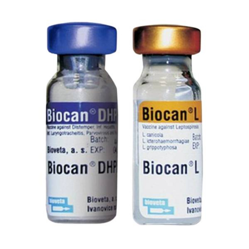 Вакцина для собак l. Биокан DHPPI. Биокан DHPPI Л. Биокан DHPPI+LR.