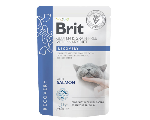 Влажный корм для кошек GF VD Рекавери пауч лосось 85 г Brit Premium