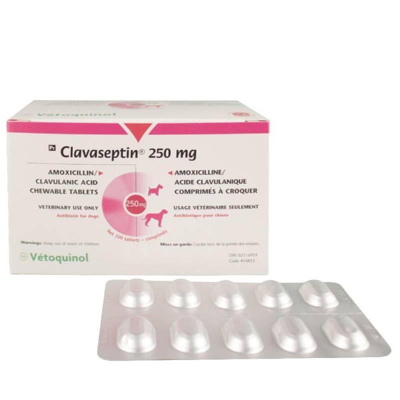 Клавасептин 250 мг 10табл Польша