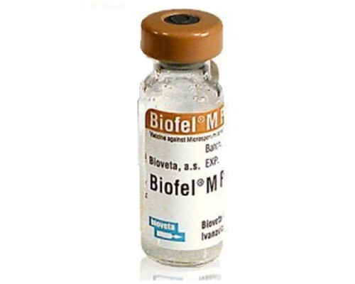 Вакцина для котів Біофел M Плюс для котів проти мікроспорії 1 доза BioVeta