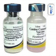 Вакцина для собак Вангард 5/CVL  1 доза  Zoetis