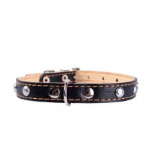 Нашийник Collar одинарний з прикрасами ширина 20 мм довжина 32-40 см чорний 0135 1