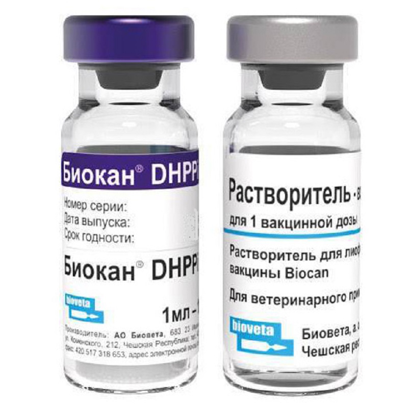 Чешская вакцина отзывы. Биокан DHPPI R. Биокан DHPPI, уп. 10 Доз. Биокан DHPPI вакцина для собак.