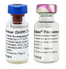 Вакцина Нобівак DHPPI проти чуми ентериту та парагрипу собак 1 флакон 1 доза з розчинником MSD AH
