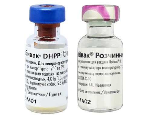 Вакцина Нобивак DHPPI против чумы энтерита и парагриппа собак 1 флакон 1 доза с растворителем MSD AH