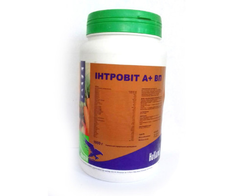Интровит А+ВП 1кг Interchemie